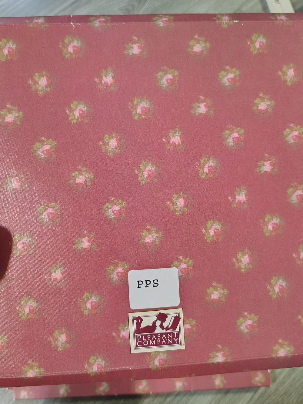 American Girl Floral Pink Doll Dress Pattern Folio